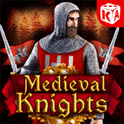 Medieval Knight
